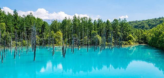 北海道_青い池（イメージ）