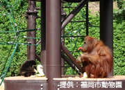 福岡市動物園（イメージ）