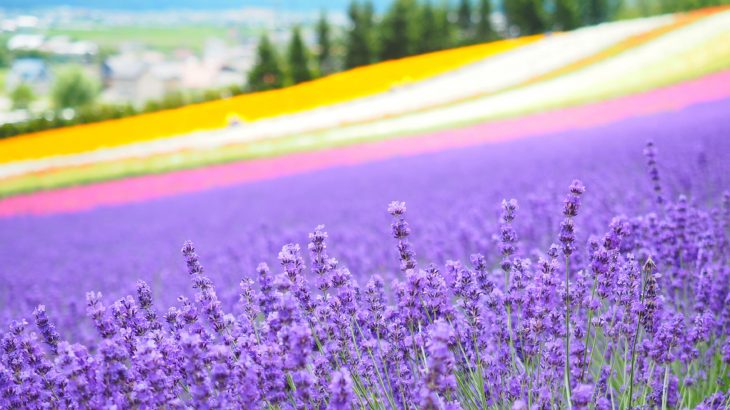 北海道旅行に必要な持ち物は？春夏秋冬、季節ごとに紹介