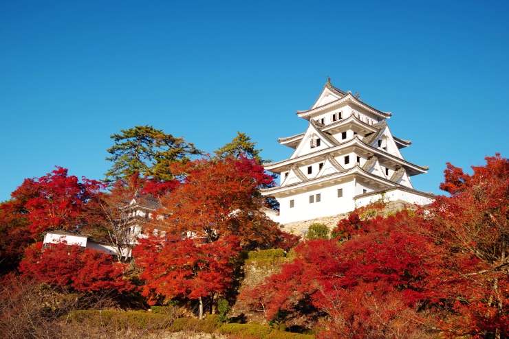 岐阜・秋の郡上八幡城と紅葉