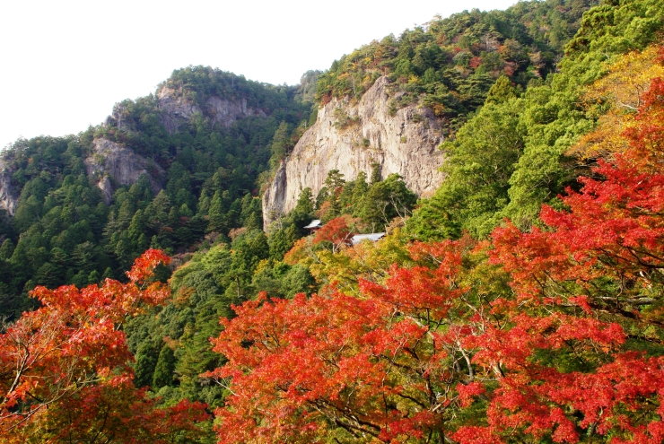 鳳来寺山の紅葉　提供：新城市観光協会