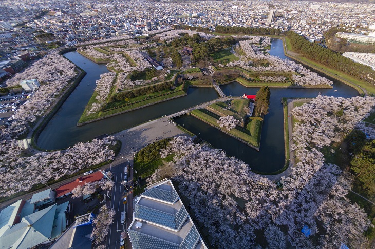 北海道の桜スポット