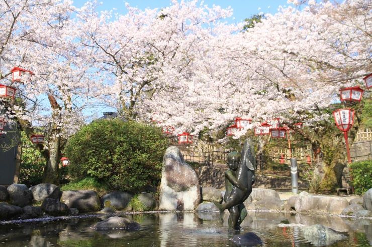 富山県　朝日山公園の桜