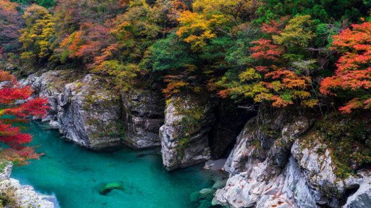 大自然の秋を満喫！四国のおすすめ紅葉スポット8選