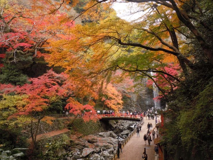 箕面大滝の紅葉