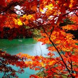 深まる秋を体感しよう！11月の旅行におすすめの観光スポット8選