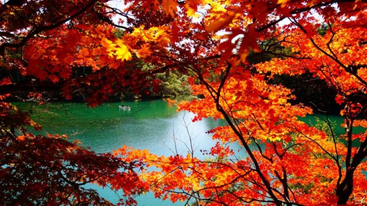 深まる秋を体感しよう！11月のおすすめ観光スポット8選