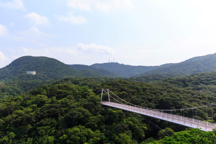  聖紫花の橋を望む雄大な景色（石垣島バンナ公園）
