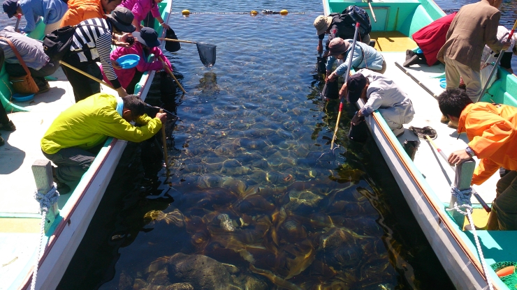 ウニ採り体験　提供：利尻島観光ポータルサイトRISHIRI PLUS