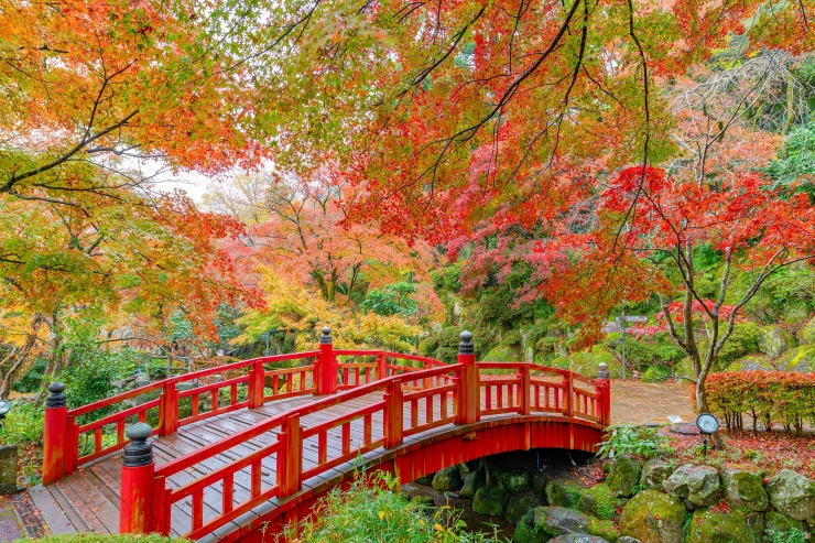 熱海梅園の紅葉