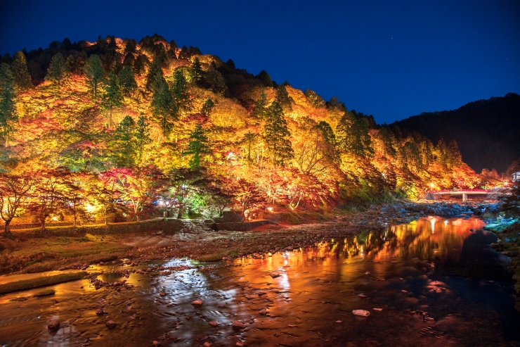 ライトアップされた香嵐渓の紅葉