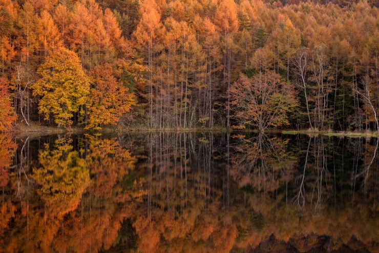 紅葉が映る御射鹿池の水面