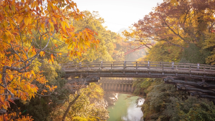 紅葉が幻想的な甲斐の猿橋