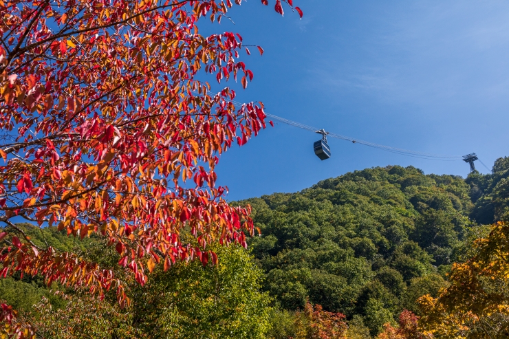 紅葉時期の新穂高ロープウェイ