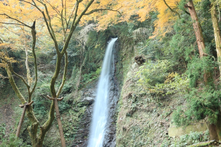秋の養老の滝