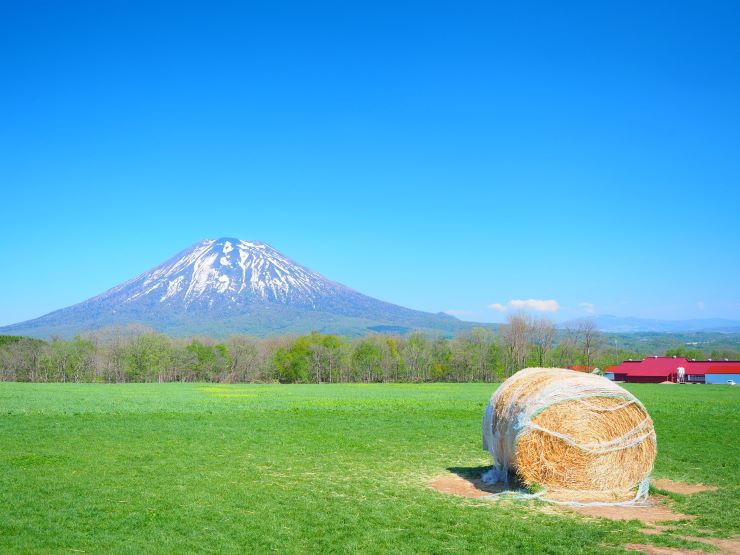 羊蹄山