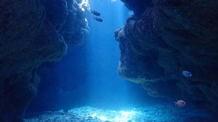 沖縄の「青の洞窟」でシュノーケリング＆ダイビング！魅力や方法を徹底解説