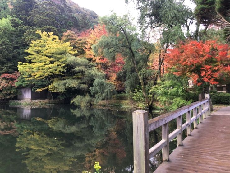 大分-湯布院-金鱗湖