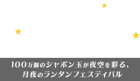 日本一星空が綺麗な村・阿智村 日本一の星空ナイトツアー 100万個のシャボン玉が夜空を彩る、月夜のランタンフェスティバル 2026年11月22日(日)・23日(月)
