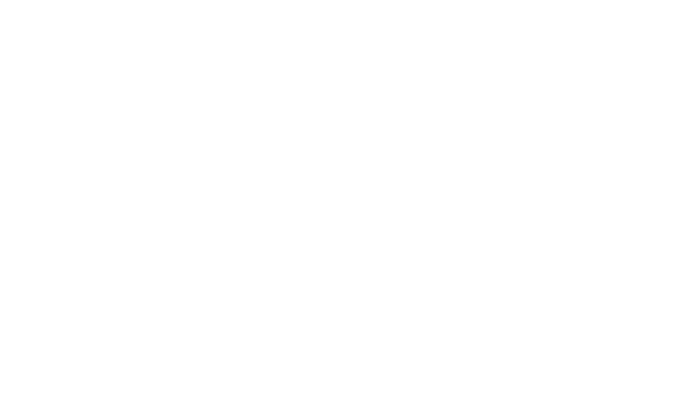 HIS logo
