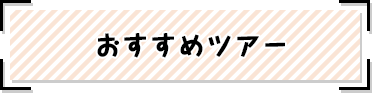 おすすめツアー