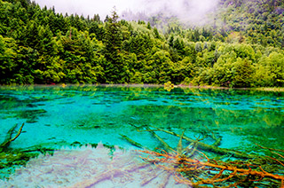 まるで海外のような日本の風景 His九州発