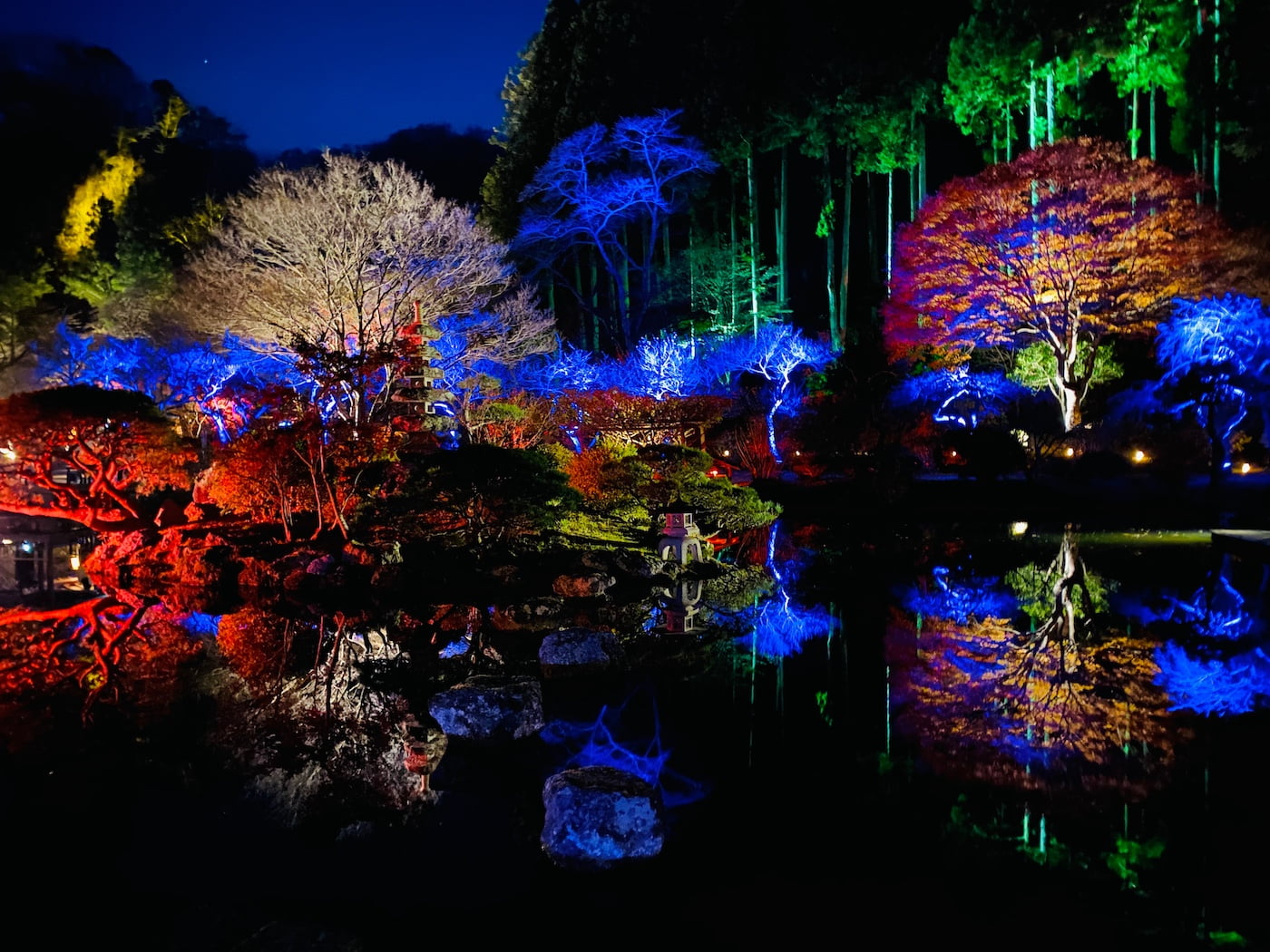 仙台秋保温泉天守閣自然公園　紅葉ライトアップ