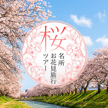 桜・お花見旅行2024