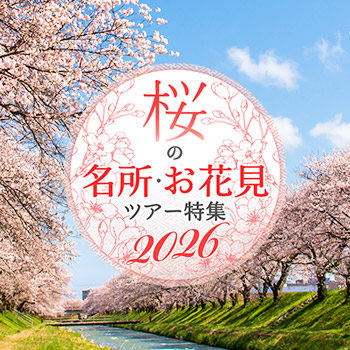 HIS桜特集