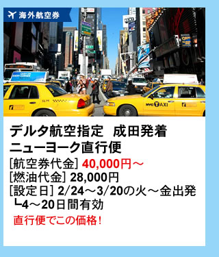 $B3$309R6u7t!!%G%k%?9R6u;XDj!!@.EDH/Ce!!%K%e!<%h!<%/D>9TJX!!(B[$B9R6u7tBe6b(B] 40,000$B1_!A(B[$BG3L}Be6b(B] 28,000$B1_(B[$B@_DjF|(B] 3/3$B!A(B3/20$B$N2P!A6b=PH/(B $B(1(B4$B!A(B20$BF|4VM-8z!!D>9TJX$G$3$N2A3J!*(B