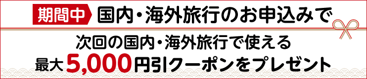 ���N�ʃN�[�|��