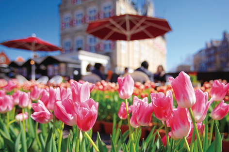 �n�E�X�e���{�X3����