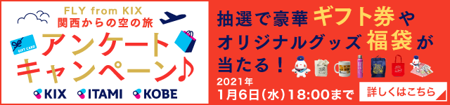 KIX�A���P�[�g�L�����y�[��