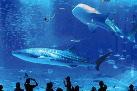 ����3����