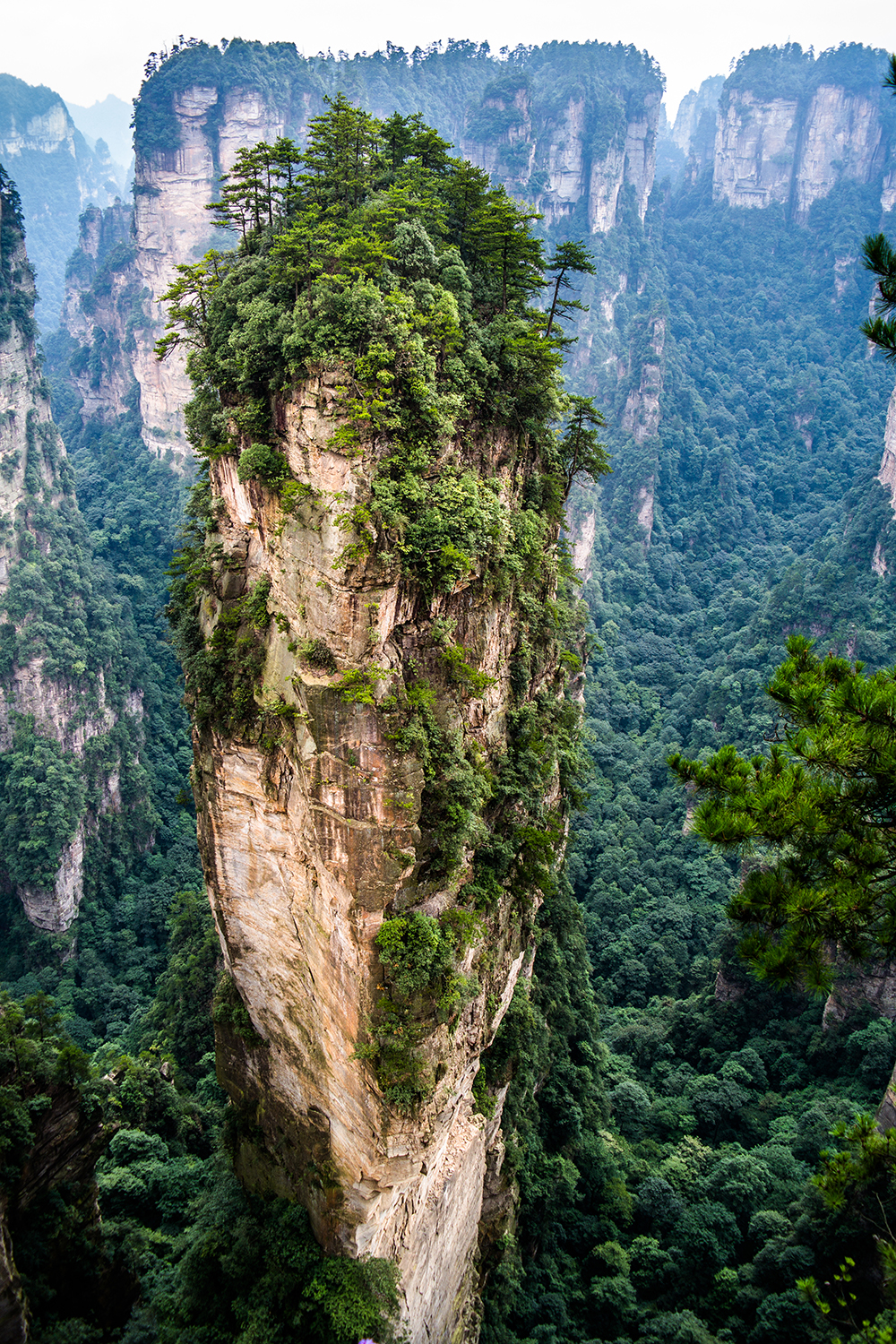 武陵源 世界の絶景 His中部発