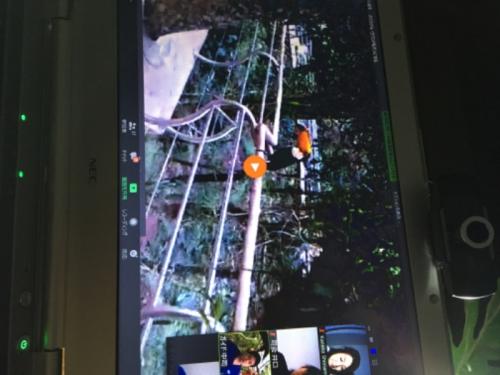 見応えあります。 見応えあります。