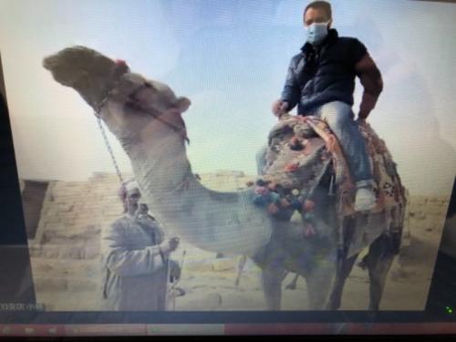 値段相応。旅行気分味わうにはいいかも。