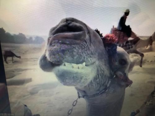 値段相応。旅行気分味わうにはいいかも。