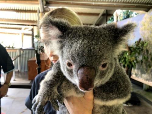 旅行した気分になりました