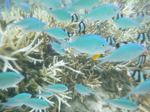 グアムの海は最高です！！