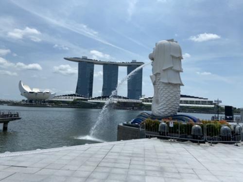 現地の地理がリアルに体感できました 現地の地理がリアルに体感できました