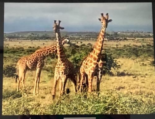 一人参加も気にならない