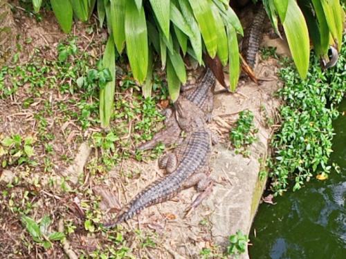 とっても楽しくて大満足です! とっても楽しくて大満足です!