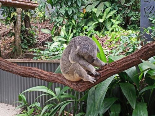 とっても楽しくて大満足です! とっても楽しくて大満足です!