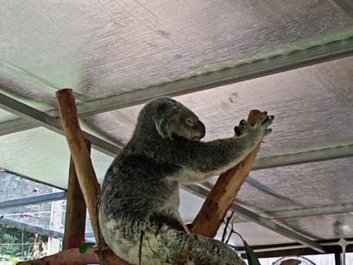 とっても楽しくて大満足です! とっても楽しくて大満足です!