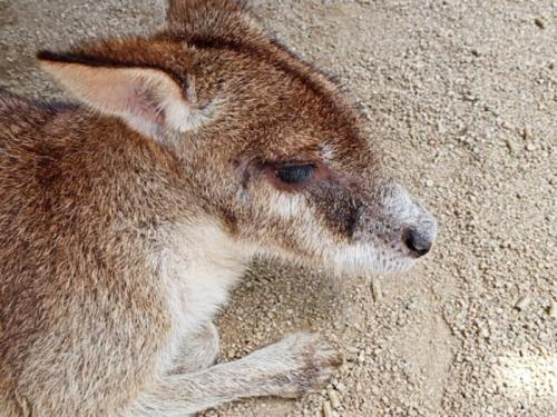 とっても楽しくて大満足です! とっても楽しくて大満足です!