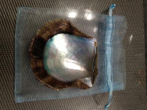 OE000017930 OE000017930