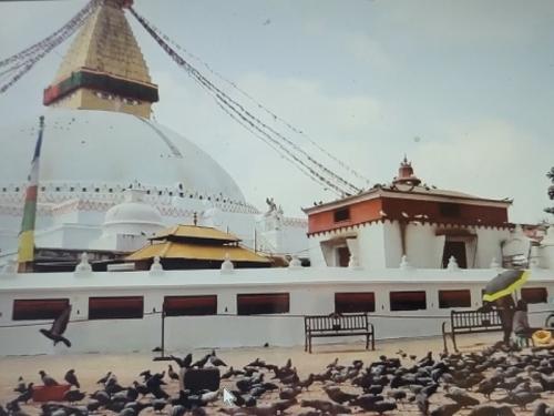 懐かしいネパール、なんと参加者は私ひとりで楽しみました 懐かしいネパール、なんと参加者は私ひとりで楽しみました