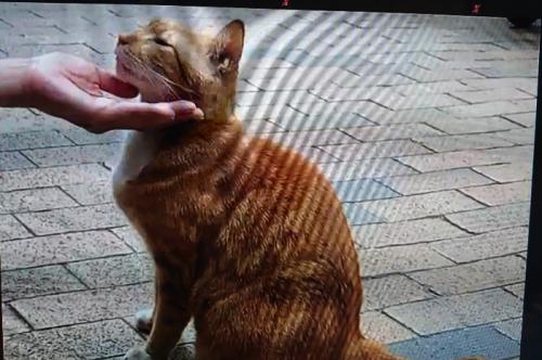 最高でした。 最高でした。