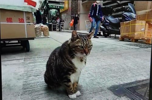 最高でした。 最高でした。